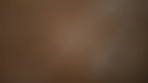 pjp34 online show from 5, 11, 2025