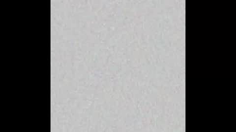 Snapshot of pladplad chatting on 16, 2, 2025 PLADPLAS online show from 16, 2, 2025