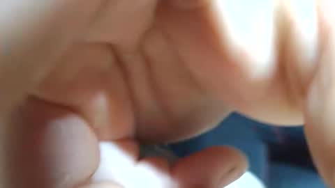 planta722 online show from 4, 4, 2026