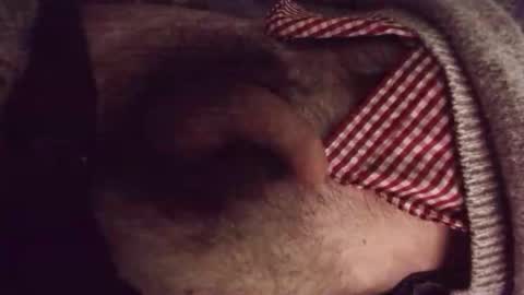 platoniclov online show from 23, 3, 2026