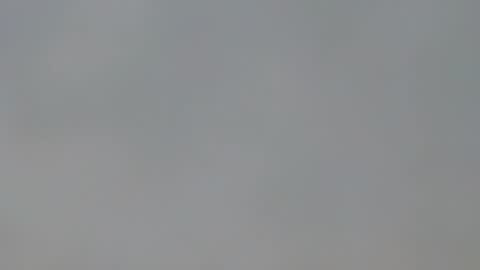 Snapshot of playboypetit chatting on 15, 1, 2025 playboypetit online show from 15, 1, 2025