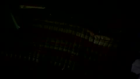 Snapshot of pleaseownme2 chatting on 13, 9, 2025 pleaseownme2 online show from 13, 9, 2025