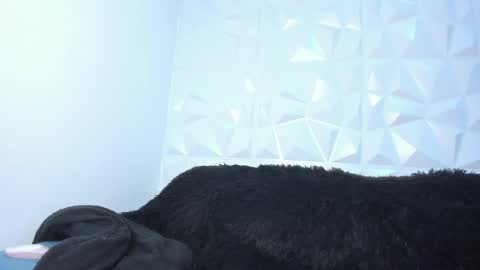 Snapshot of pnishermaster chatting on 4, 6, 2026 pnishermaster online show from 4, 6, 2026