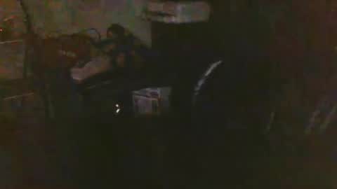 pnwbull25 online show from 27, 3, 2026