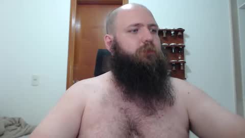 Bear online show from 16, 2, 2025