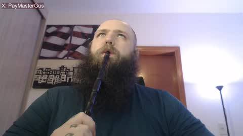 Bear online show from 8, 10, 2025