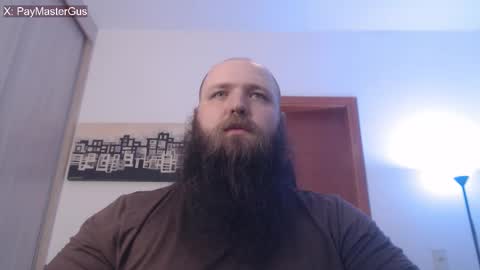 Bear online show from 26, 11, 2025