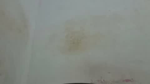 poli online show from 4, 4, 2026