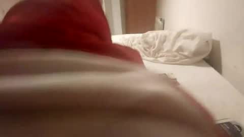 Snapshot of pollonreus chatting on 28, 6, 2026 Pollonreus online show from 28, 6, 2026