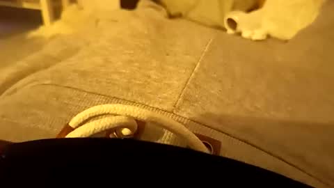 pollontf online show from 2, 3, 2026