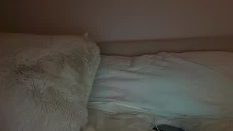 Polly Pocket online show from 14, 3, 2026