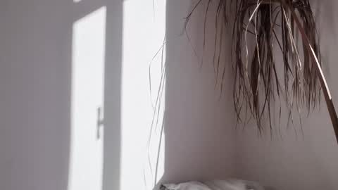 Snapshot of polynessia chatting on 17, 10, 2025 Polina online show from 17, 10, 2025