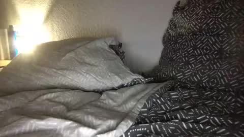 poolau online show from 10, 3, 2026