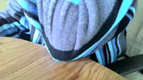 Snapshot of poshman65 chatting on 29, 12, 2024 poshman65 online show from 29, 12, 2024