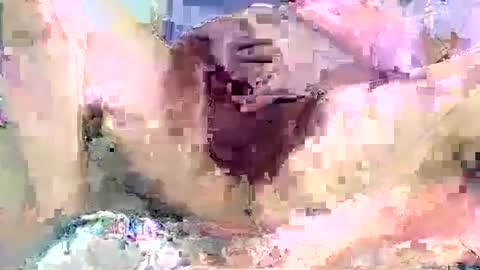 Snapshot of poundittt chatting on 14, 9, 2025 dikud0wn online show from 14, 9, 2025