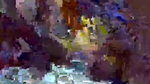 Snapshot of precious_nesh chatting on 13, 5, 2026 precious_nesh online show from 13, 5, 2026