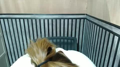 Kate online show from 8, 10, 2025