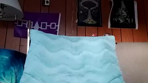 prettysolidd7 online show from 16, 12, 2024