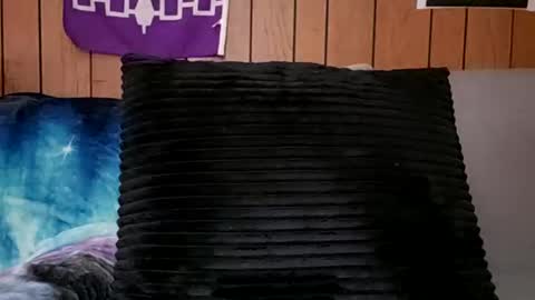 prettysolidd7 online show from 24, 2, 2025