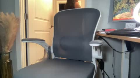 Discrete Pussy online show from 28, 7, 2026