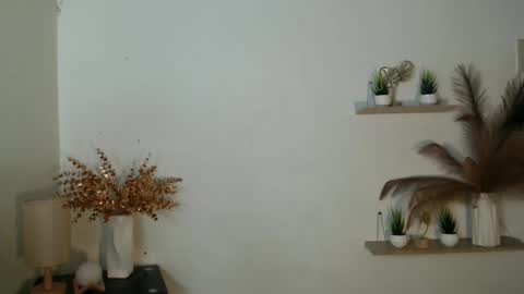 pricila_deguzman online show from 14, 3, 2026