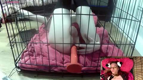 Snapshot of princessjuliaxo4 chatting on 3, 2, 2026 PrIncessJulia0X online show from 3, 2, 2026