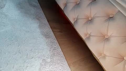 prinzkail643 online show from 3, 2, 2026