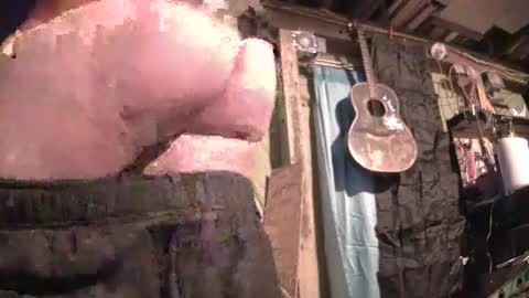 prophetof69 online show from 23, 1, 2025