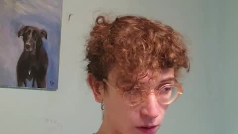 prxscillia_tx online show from 7, 1, 2026