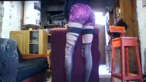 Ar Lily online show from 24, 2, 2025