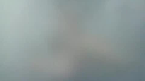   PALA  online show from 16, 12, 2024