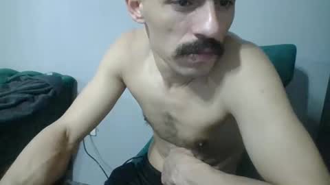   PALA  online show from 8, 1, 2025