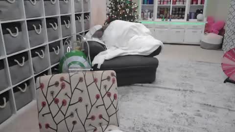 Puggie -  online show from 14, 12, 2024