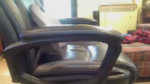 pulltoy1 online show from 21, 4, 2026