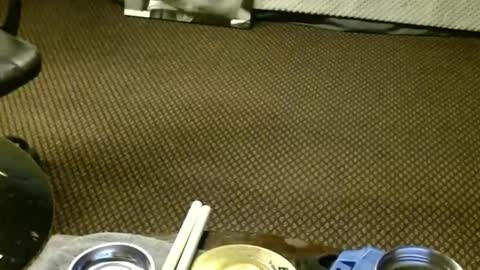 Jojo online show from 23, 11, 2025