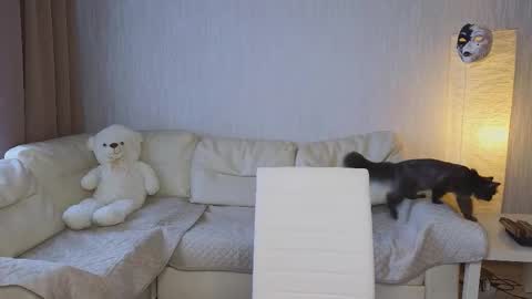 Jesse online show from 23, 10, 2025