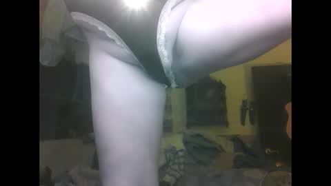 puss123176428 online show from 16, 12, 2024