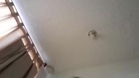 pussy_happy0 online show from 3, 12, 2024