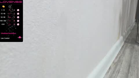 Snapshot of pussy_sladusy chatting on 29, 1, 2025 Nina online show from 29, 1, 2025