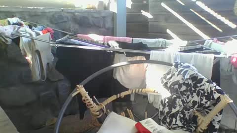 Python online show from 10, 1, 2025