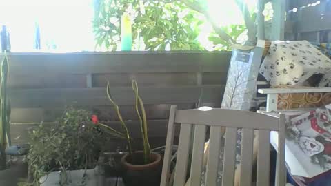 Python online show from 2, 2, 2025