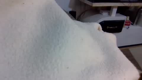 queen014 online show from 2, 12, 2025