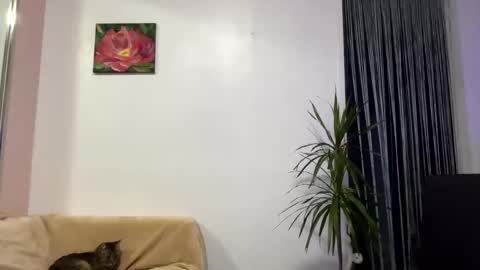 Viktoria online show from 28, 1, 2025