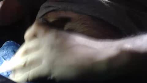 oilypanda online show from 16, 12, 2024