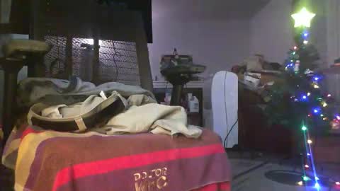 Snapshot of qwerty__pop chatting on 15, 12, 2025 qwerty__pop online show from 15, 12, 2025