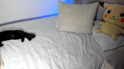 natalia  -  online show from 28, 1, 2025