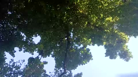 Bigthickdickinvic online show from 2, 2, 2025