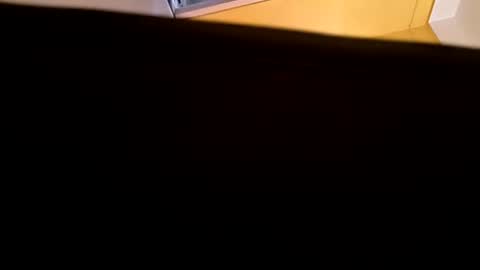 rahul online show from 2, 4, 2026