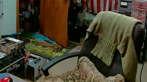 Randall online show from 27, 2, 2025