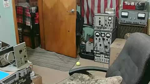 Randall online show from 18, 1, 2026